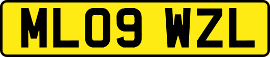 ML09WZL