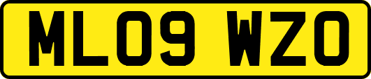 ML09WZO