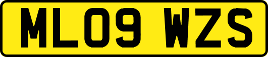 ML09WZS