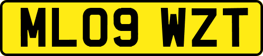 ML09WZT