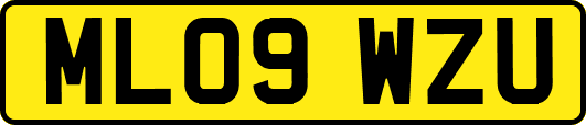 ML09WZU