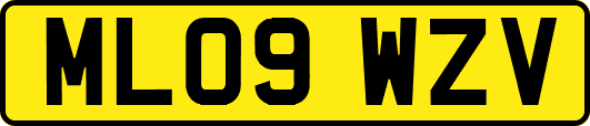 ML09WZV