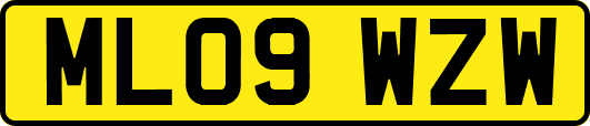 ML09WZW
