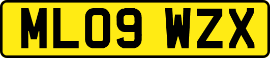ML09WZX