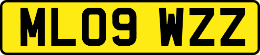 ML09WZZ