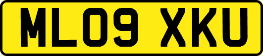 ML09XKU