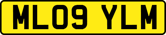 ML09YLM