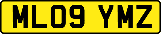 ML09YMZ