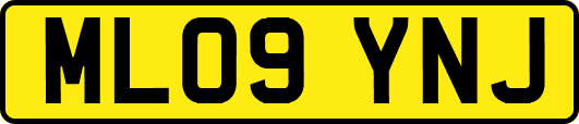 ML09YNJ