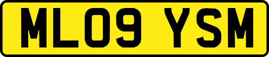 ML09YSM