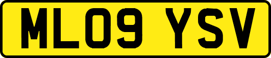 ML09YSV