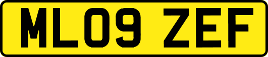 ML09ZEF