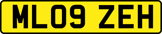 ML09ZEH