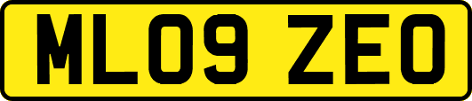ML09ZEO