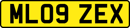 ML09ZEX