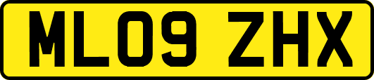 ML09ZHX