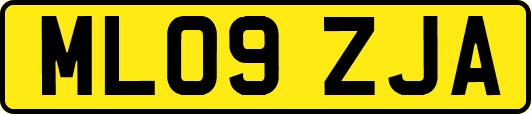 ML09ZJA