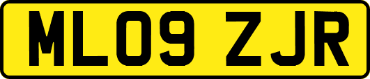 ML09ZJR