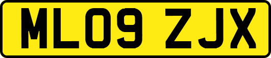 ML09ZJX