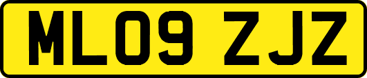 ML09ZJZ