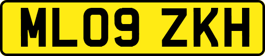 ML09ZKH