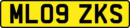 ML09ZKS