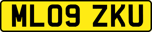 ML09ZKU