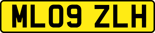 ML09ZLH