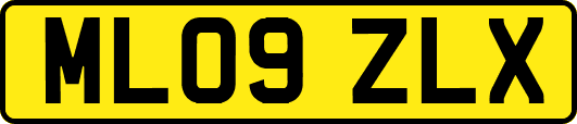 ML09ZLX