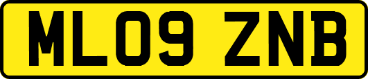 ML09ZNB