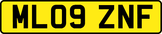 ML09ZNF