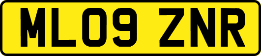 ML09ZNR