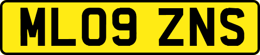 ML09ZNS
