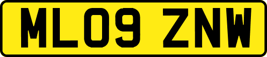 ML09ZNW