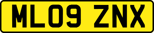 ML09ZNX