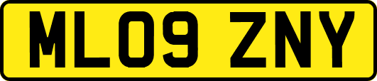ML09ZNY