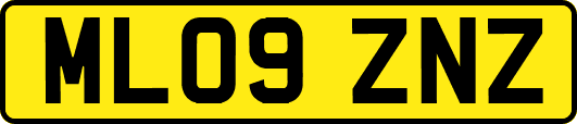 ML09ZNZ