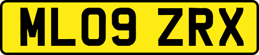 ML09ZRX