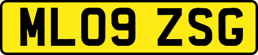 ML09ZSG