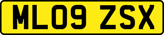 ML09ZSX