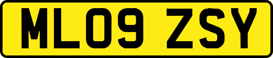 ML09ZSY