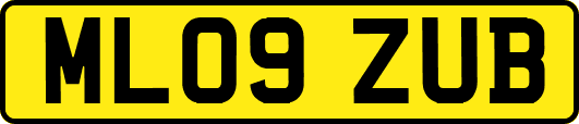 ML09ZUB