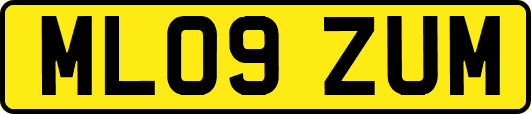ML09ZUM