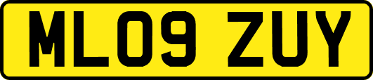 ML09ZUY