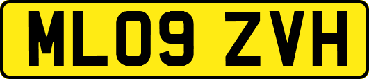 ML09ZVH
