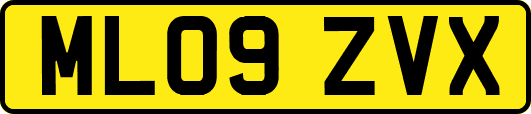 ML09ZVX