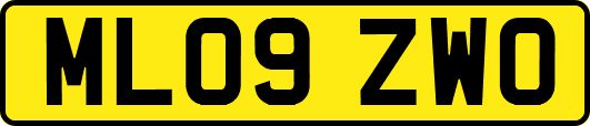 ML09ZWO