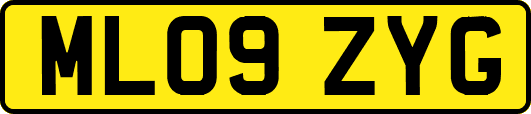 ML09ZYG