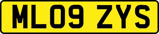 ML09ZYS