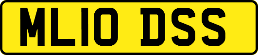 ML10DSS